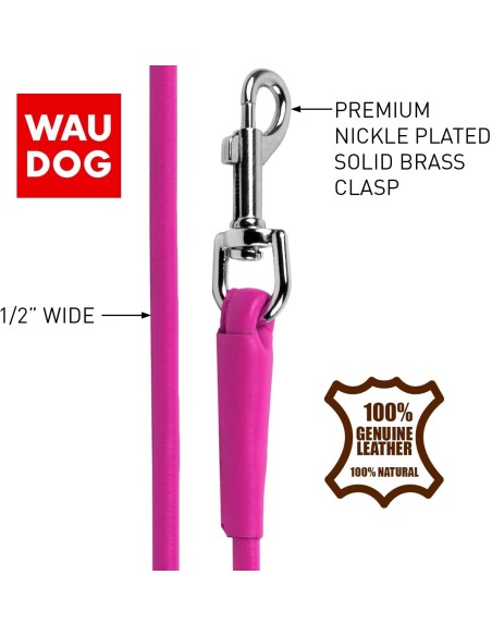 Odinis pavadys WOUDOG