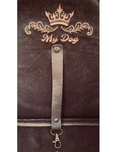 Automobilinė kėdutė šuniui