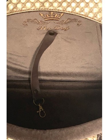 Automobilinė kėdutė šuniui