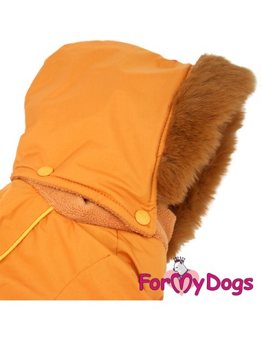 Kombinezonas "For My Dogs"