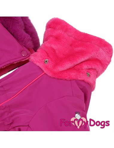 Kombinezonas "For My Dogs"