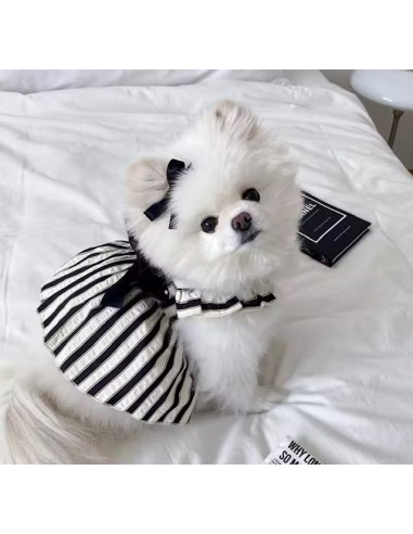 Suknelė DOT POLKA, šuniui