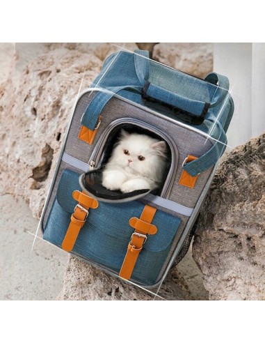 Kuprinė ,,Doxtazy”