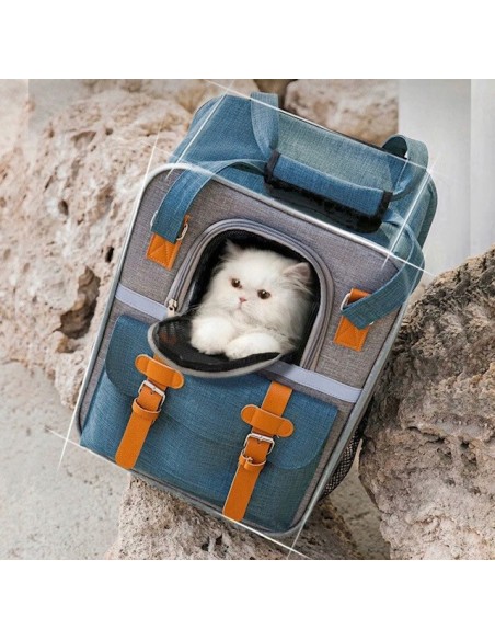 Kuprinė ,,Doxtazy”